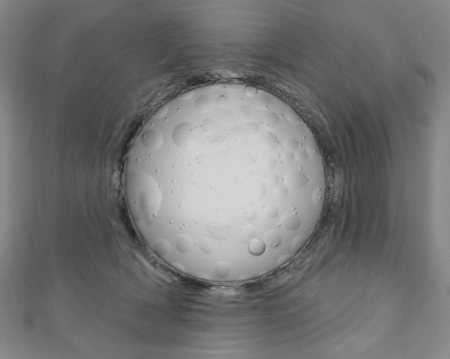 X0000110880418200906180949
