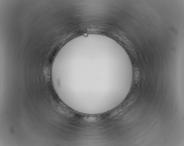 X0000110880419200906180949