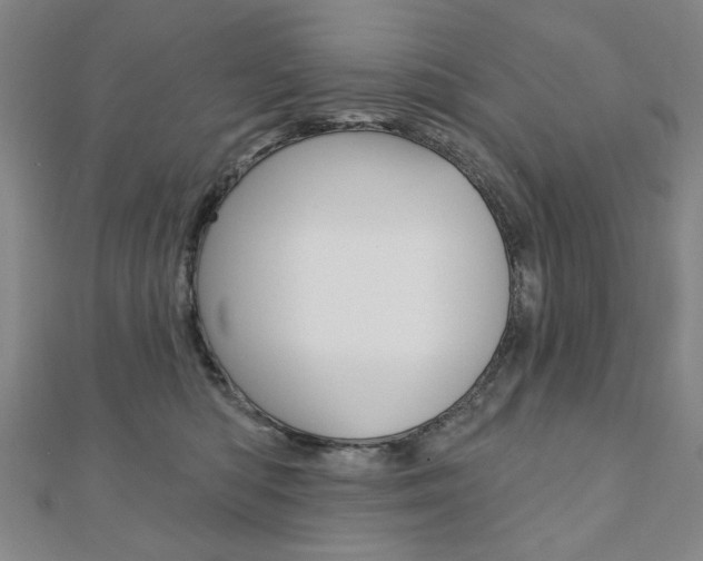 X0000110880422200906180949
