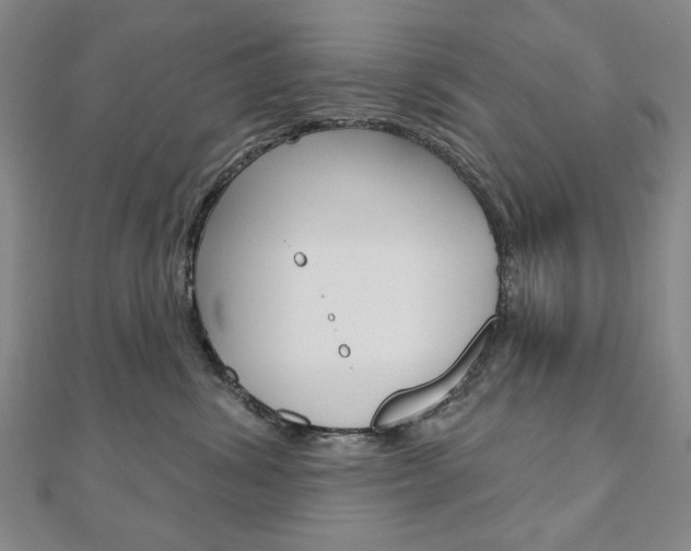 X0000110880428200906180949
