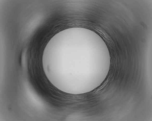 X0000110880429200906180949