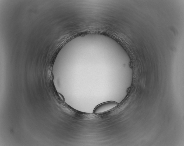 X0000110880432200906180949