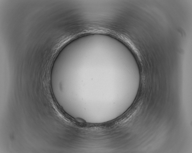 X0000110880433200906180948