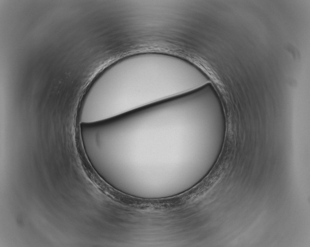 X0000110880434200906180948