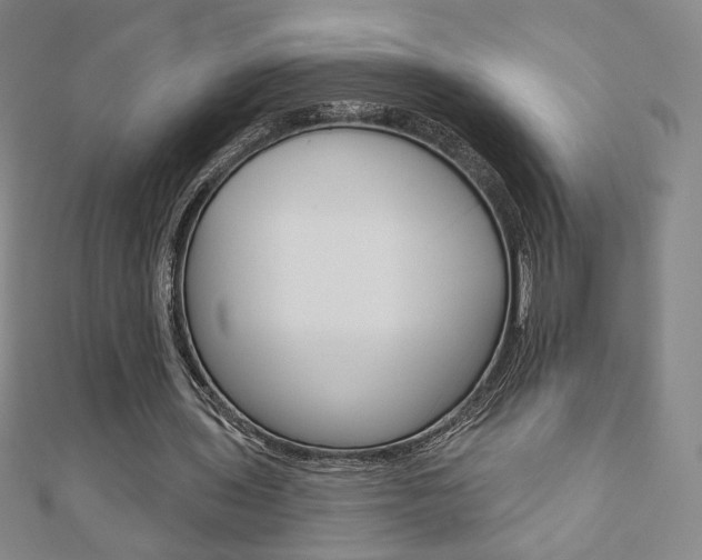 X0000110880435200906180948
