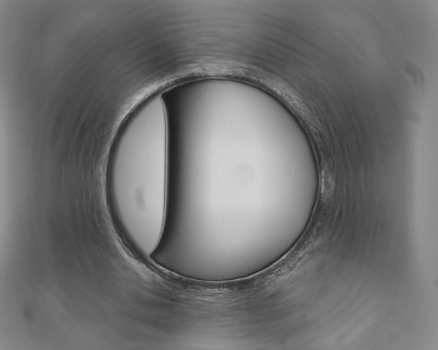 X0000110880438200906180948