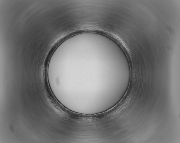 X0000110880439200906180948
