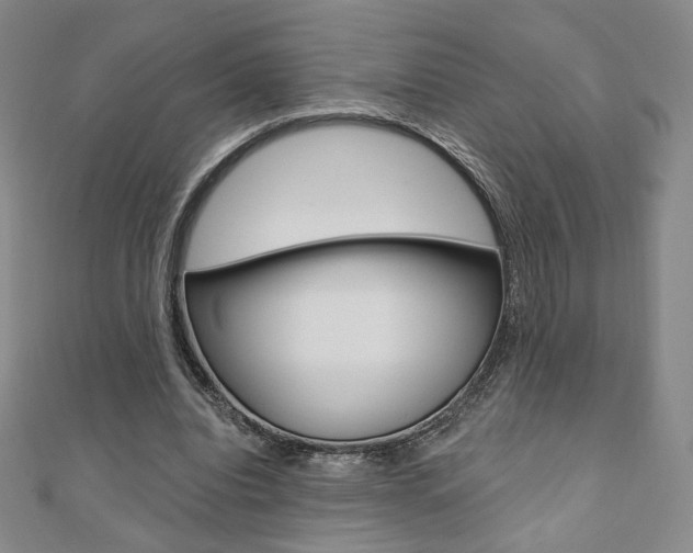 X0000110880440200906180948