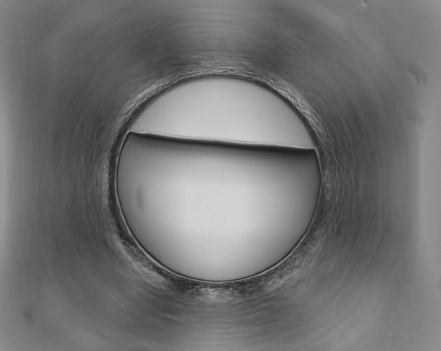 X0000110880442200906180948