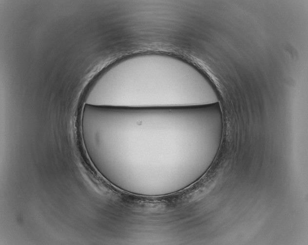 X0000110880443200906180948