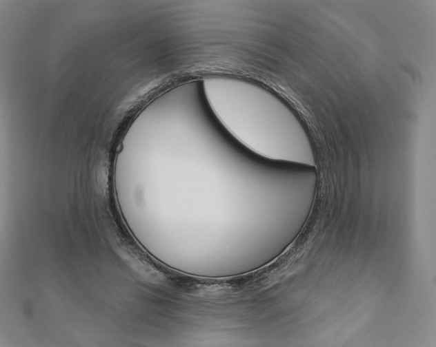 X0000110880446200906180948