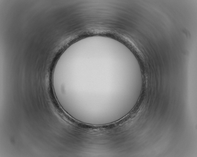 X0000110880447200906180948