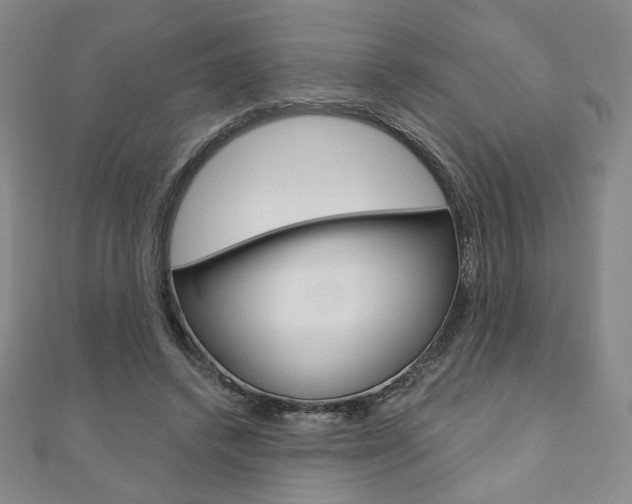 X0000110880448200906180948