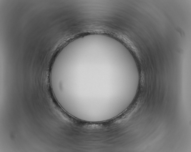 X0000110880449200906180948