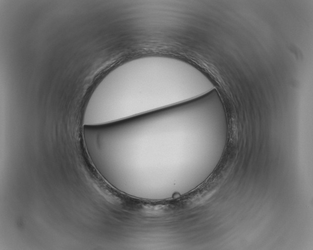 X0000110880450200906180948