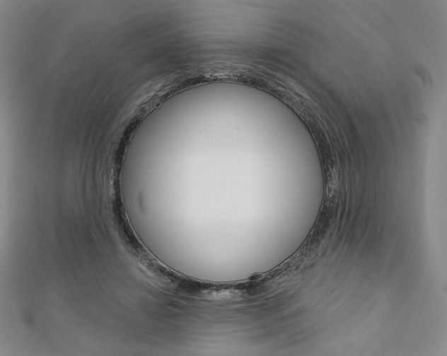 X0000110880452200906180948