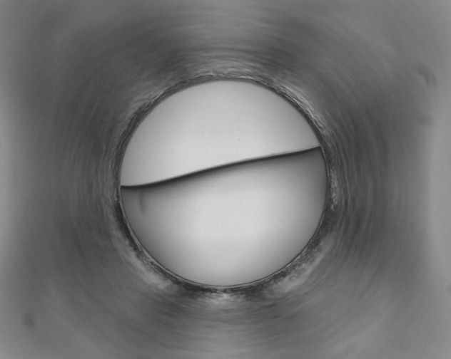 X0000110880453200906180948