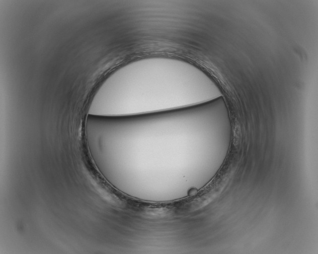 X0000110880454200906180948