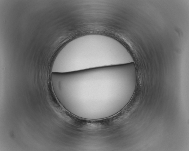 X0000110880455200906180948