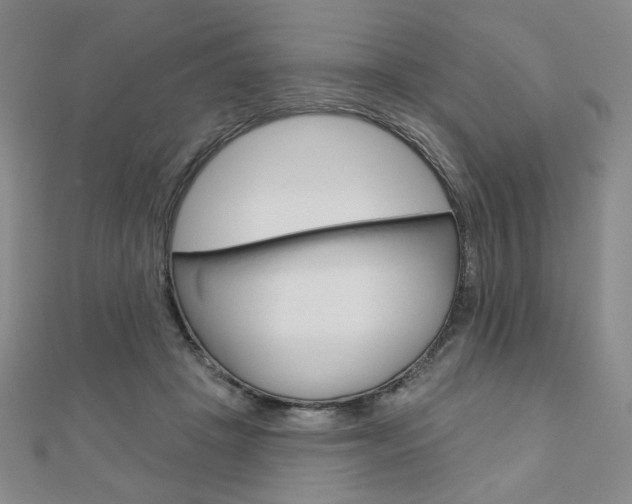 X0000110880457200906180948