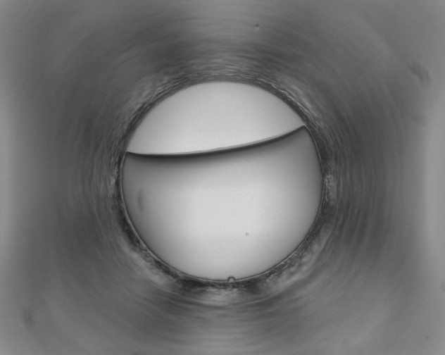 X0000110880458200906180948