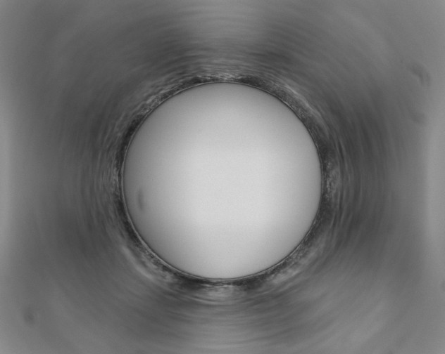 X0000110880459200906180948