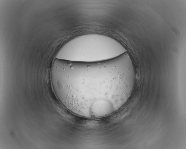 X0000110880462200906180948