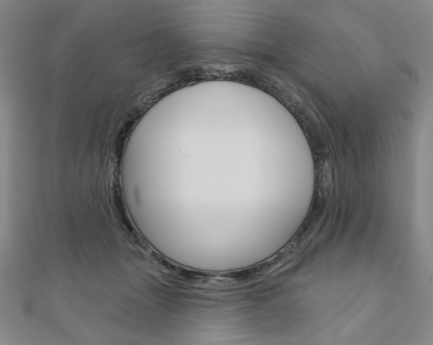 X0000110880463200906180948