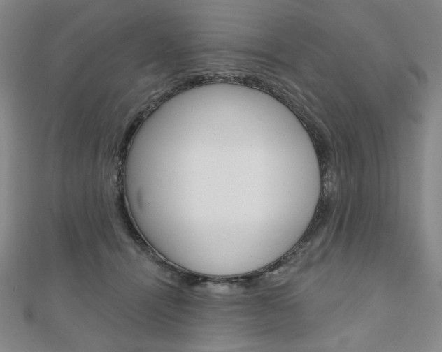 X0000110880464200906180949