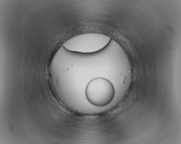 X0000110880465200906180949