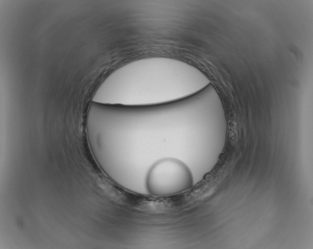 X0000110880466200906180949