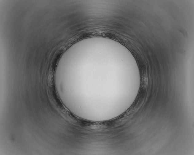 X0000110880468200906180949