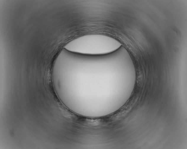 X0000110880469200906180949