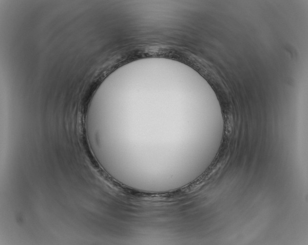 X0000110880470200906180949