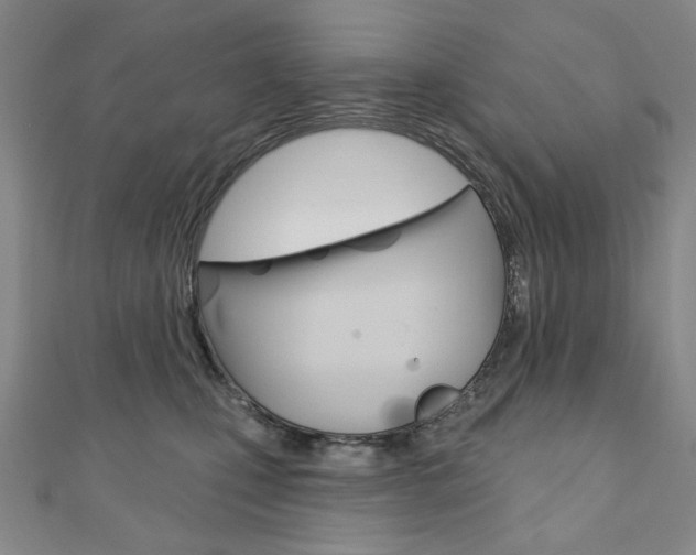 X0000110880471200906180949
