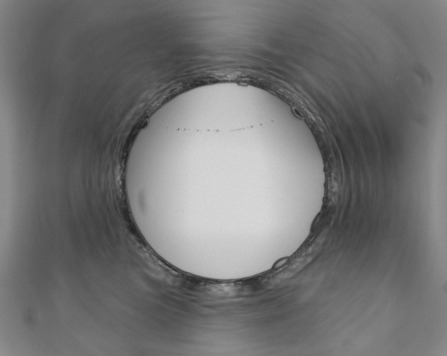 X0000110880473200906180949
