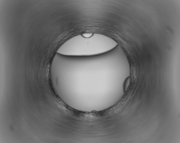 X0000110880475200906180949