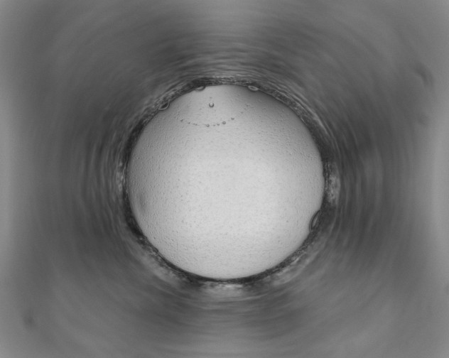 X0000110880476200906180949