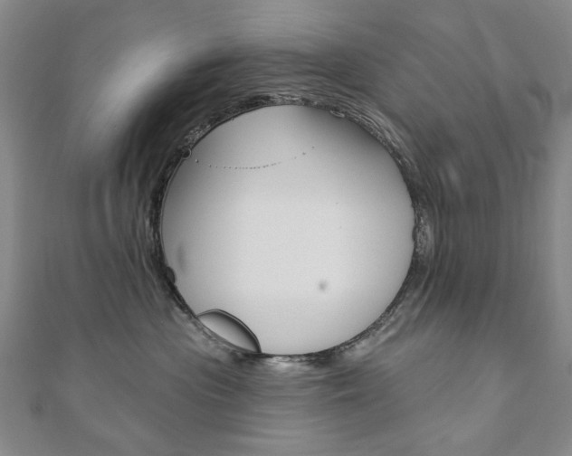 X0000110880477200906180949