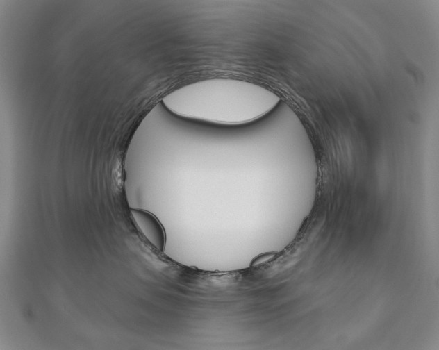 X0000110880479200906180949