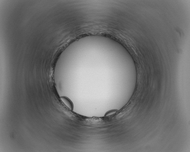 X0000110880480200906180949