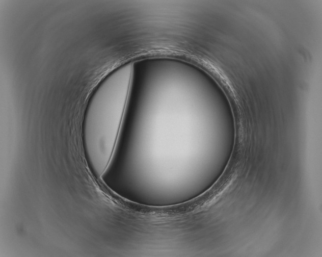 X0000110880481200906180948