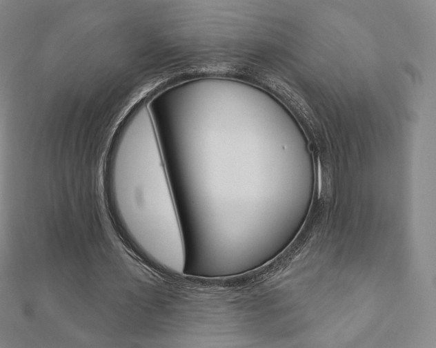 X0000110880483200906180948