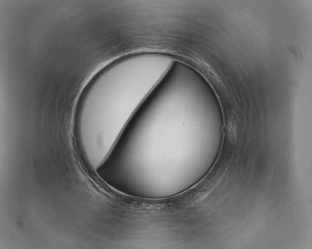X0000110880484200906180948