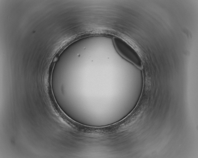 X0000110880485200906180948