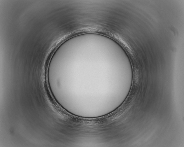 X0000110880486200906180948