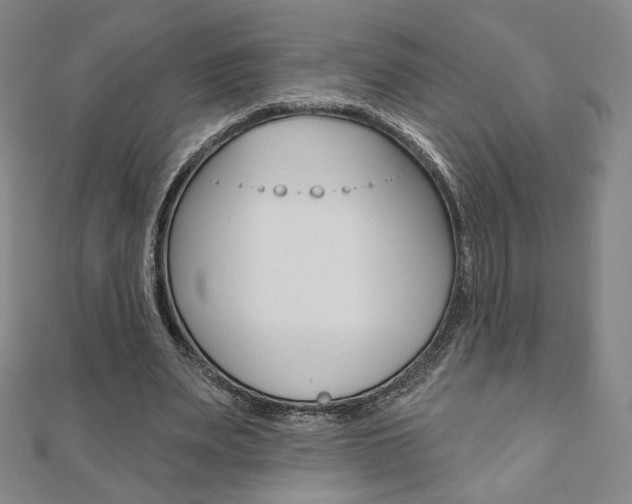 X0000110880487200906180948