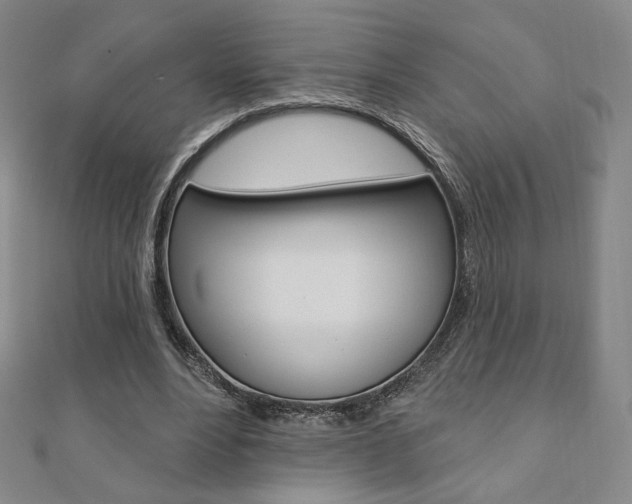 X0000110880488200906180948