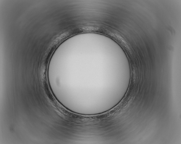 X0000110880490200906180948