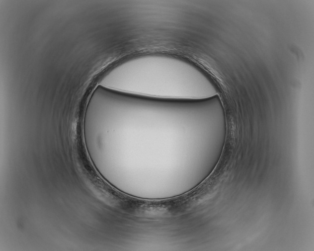 X0000110880491200906180948